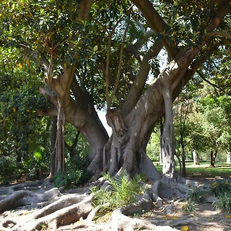 Atelier - House In Belem Διαμέρισμα